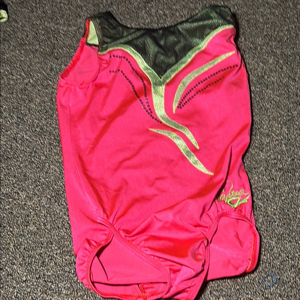 Pink and Green Gymnastics Leotard